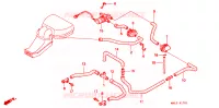 SOUPAPE D'ADMISSION pour Honda CBR 600 de 1998