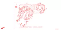 CULASSE pour Honda CRF 50 de 2024