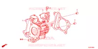 CYLINDRE pour Honda 50 METROPOLITAN de 2024