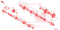 BOITE DE VITESSES pour Honda TRX SPORTRAX 250 X de 2024