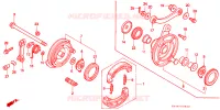 FLASQUE   MACHOIRES DE FREIN AVANT pour Honda SUPER CUB 50 STANDARD de 1992