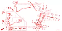 GUIDON   TE DE FOURCHE pour Honda NT 1100 DCT de 2024