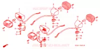 CLIGNOTANT pour Honda XR 250 MOTARD SPECIAL de 2005