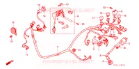 FAISCEAU DES FILS pour Honda TACT 50 STAND-UP de 1994
