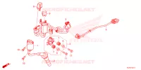 FAISCEAU SECONDAIRE pour Honda CB 300 R de 2024