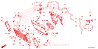 RADIATEUR   VASE D'EXPANSION pour Honda REBEL 1100 DCT de 2024