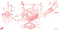 CULASSE pour Honda XR 150 L de 2024