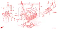 CULASSE pour Honda XR 150 L de 2024