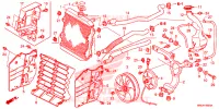RADIATEUR pour Honda FOURTRAX 520 FOREMAN RUBICON EPS de 2021