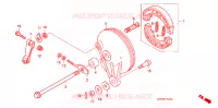 FLASQUE   MACHOIRES DE FREIN ARRIERE pour Honda WAVE 125  PGMFi,  Electric start de 2009