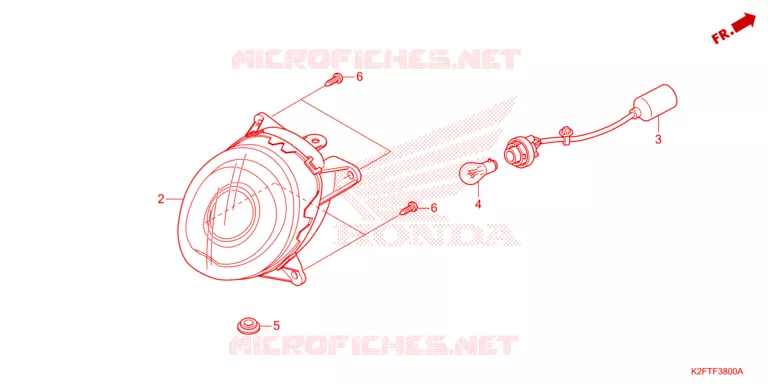 FEU ARRIERE Honda SCOOTER 110 SCOOPY 2021  ACF110CBTM_2TH