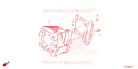 CYLINDRE pour Honda SCOOPY 110 URBAN de 2023