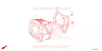 CYLINDRE pour Honda SCOOPY 110 CLUB 12 de 2024