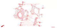 CYLINDRE pour Honda GIORNO 125 CBS de 2023