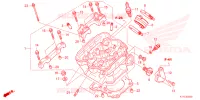 CULASSE pour Honda CRF 300 RALLY de 2024