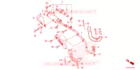 SILENCIEUX D'ECHAPPEMENT pour Honda CRF 110 de 2025