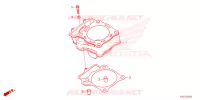 CYLINDRE pour Honda CRF 250 RX de 2025