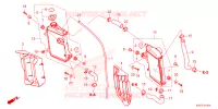 RADIATEUR pour Honda CRF 250 RX de 2025