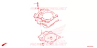 CYLINDRE pour Honda CRF 250 RX de 2025