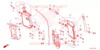 RADIATEUR pour Honda CRF 250 RX de 2025