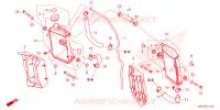 RADIATEUR pour Honda CRF 450 RX ENDURO de 2025