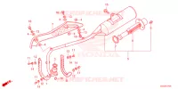 SILENCIEUX D'ECHAPPEMENT pour Honda CRF 50 de 2025