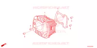 CYLINDRE pour Honda MSX 125 SPECIAL de 2024