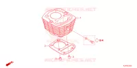 CYLINDRE pour Honda CRF 125 F de 2024
