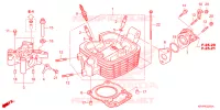 CULASSE pour Honda XR 150 de 2025