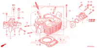 CULASSE pour Honda XR 150 L de 2025