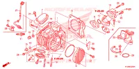 CULASSE pour Honda FUTURE 125 Spoked wheels, Rear brake drum de 2012