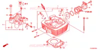 CULASSE pour Honda NEW MEGA PRO 150 PGMFi, Casted wheels de 2011