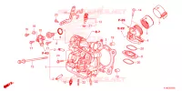 CULASSE pour Honda FORZA 250 ABS de 2025