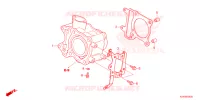 CYLINDRE pour Honda ADV 150 ABS de 2023