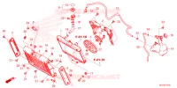 RADIATEUR   VASE D'EXPANSION pour Honda REBEL 1100 DCT de 2025