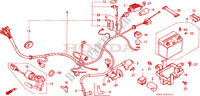 FAISCEAU DES FILS   BOBINE D'ALLUMAGE   BATTERIE pour Honda DAX 70 Kumamoto factory de 1990