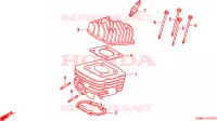 CYLINDRE   CULASSE pour Honda SFX 50 de 1995