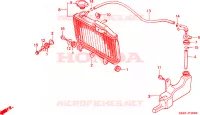 RADIATEUR pour Honda NSR 50 de 1995