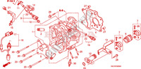 CULASSE(NPS508/9) pour Honda ZOOMER 50 DELUXE de 2010
