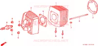 CYLINDRE   CULASSE pour Honda WALLAROO 50 de 1991