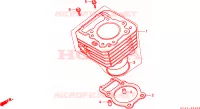 CYLINDRE pour Honda TRX 300 FOURTRAX 4X4 de 1994