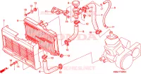 RADIATEUR pour Honda NSR 125 R de 1999