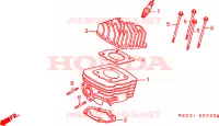 CYLINDRE   CULASSE pour Honda SCOOPY 100 de 1996