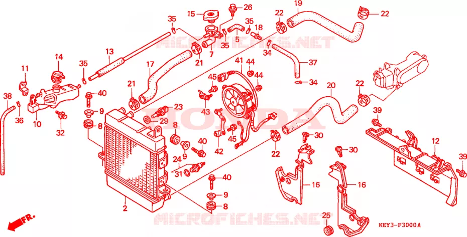 RADIATEUR Honda SCOOTER 125 PANTHEON 2000  FES125Y