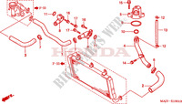 DURITE DE REFROIDISSEMENT (ST1100T/V/W/AT/AV/AW) pour Honda PAN EUROPEAN ST 1100 ABS de 1998