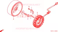 ALTERNATEUR pour Honda CBR 1100 SUPER BLACKBIRD de 2005