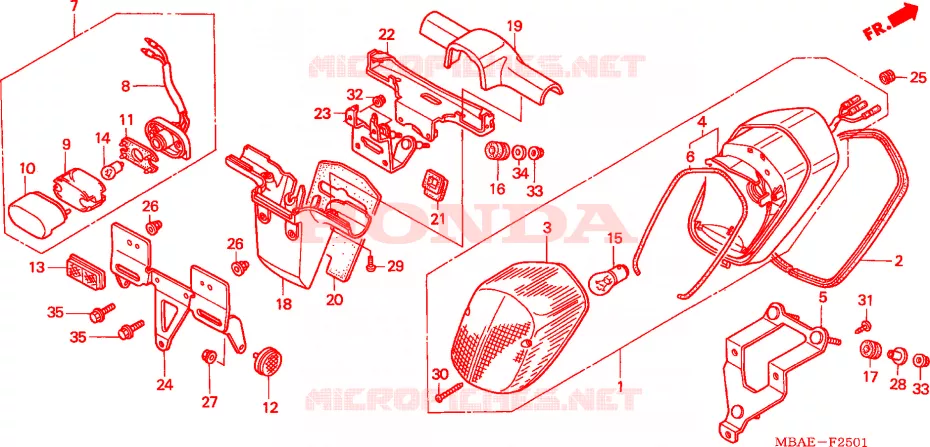 FEU ARRIERE (VT750C3/CD3) Honda MOTO 750 SHADOW 2001  VT750CD31
