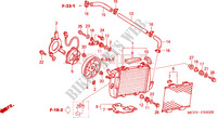 RADIATEUR(G.) (VTR1000SP2/3/4/5/6) pour Honda VTR 1000 SP2 100CV de 2002
