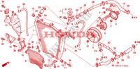 RADIATEUR  pour Honda CBR 1000 RR FIREBLADE REPSOL de 2005