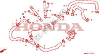 DURITE DE REFROIDISSEMENT pour Honda TRANSALP 600 de 1993